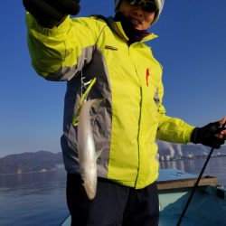 アマテラス 釣果