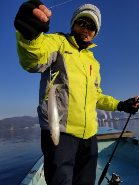 アマテラス 釣果