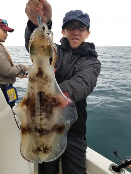 ソルトウォーターガイドフレンズ 釣果