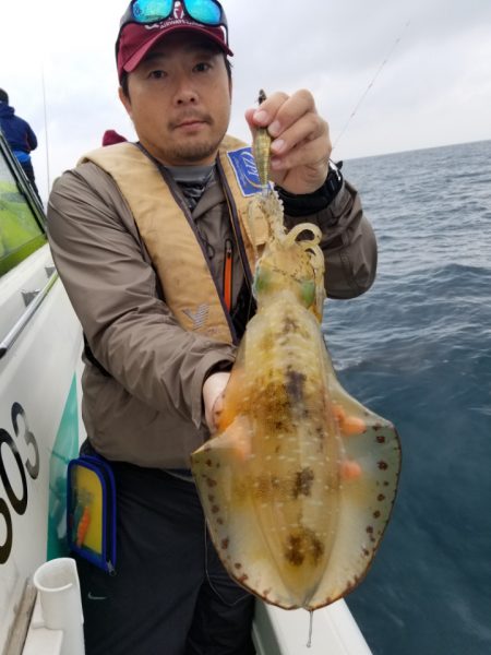 ソルトウォーターガイドフレンズ 釣果