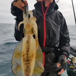 ソルトウォーターガイドフレンズ 釣果