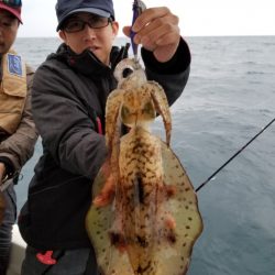 ソルトウォーターガイドフレンズ 釣果