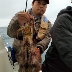 ソルトウォーターガイドフレンズ 釣果