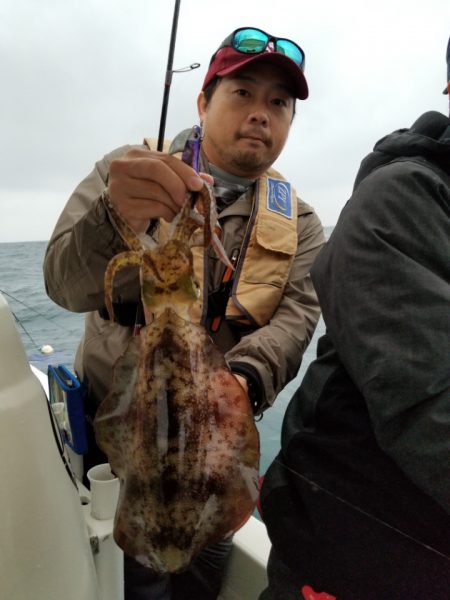 ソルトウォーターガイドフレンズ 釣果