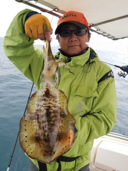 ソルトウォーターガイドフレンズ 釣果