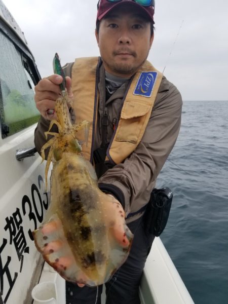 ソルトウォーターガイドフレンズ 釣果