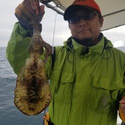 ソルトウォーターガイドフレンズ 釣果