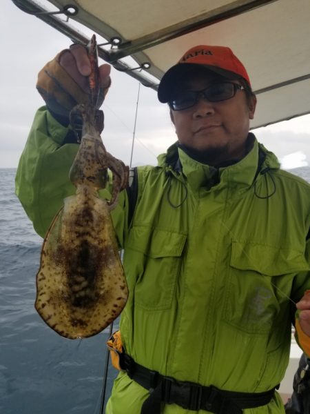 ソルトウォーターガイドフレンズ 釣果