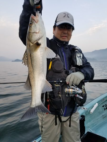 アマテラス 釣果