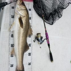 海龍丸（島根） 釣果