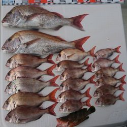 遊漁船 家入 釣果