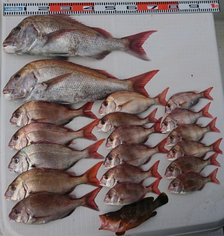 遊漁船 家入 釣果