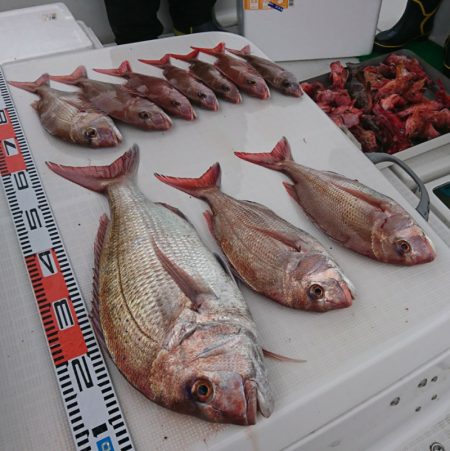 遊漁船 家入 釣果