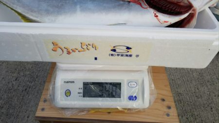 第二龍勢丸 釣果