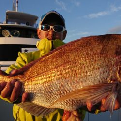 第三共栄丸 釣果