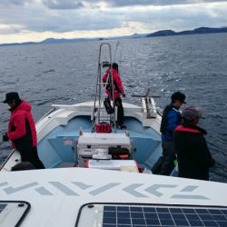 きずなまりん 釣果