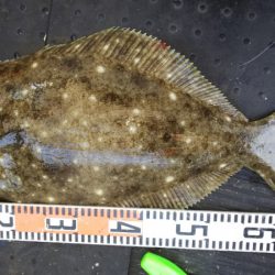 第二龍勢丸 釣果