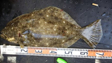 第二龍勢丸 釣果