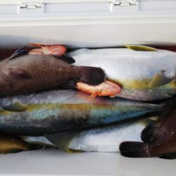 第二龍勢丸 釣果