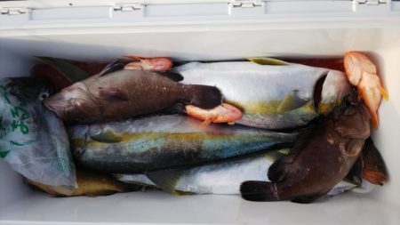 第二龍勢丸 釣果