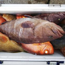 第二龍勢丸 釣果