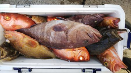 第二龍勢丸 釣果