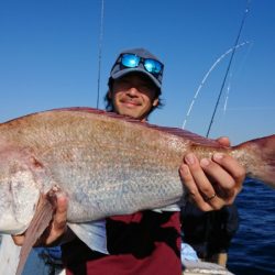 だて丸 釣果