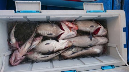 海龍丸（石川） 釣果