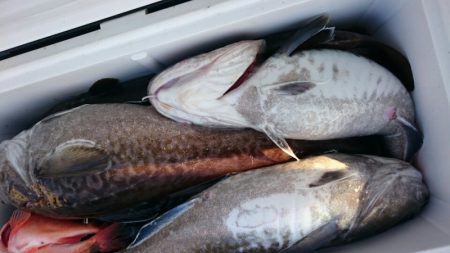 海龍丸（石川） 釣果