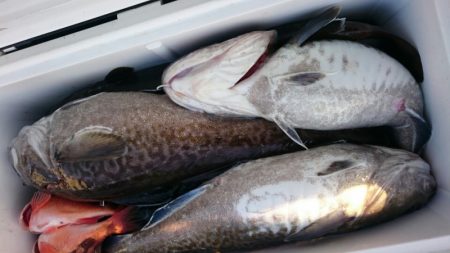 海龍丸（石川） 釣果