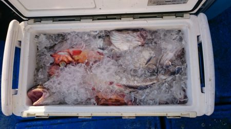 海龍丸（石川） 釣果