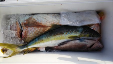 第二龍勢丸 釣果