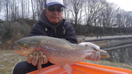 つりぼりあかし 釣果