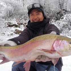 つりぼりあかし 釣果