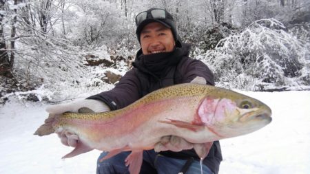 つりぼりあかし 釣果