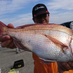 第三共栄丸 釣果