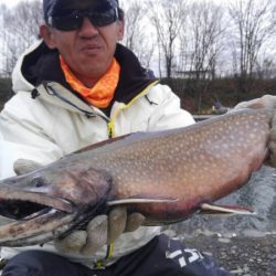 つりぼりあかし 釣果