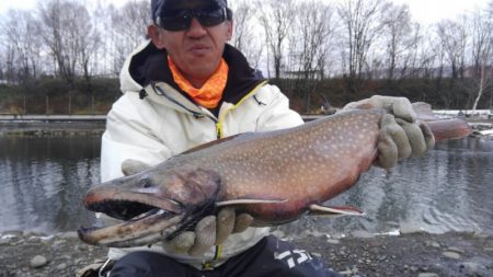 つりぼりあかし 釣果