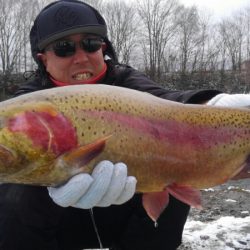 つりぼりあかし 釣果
