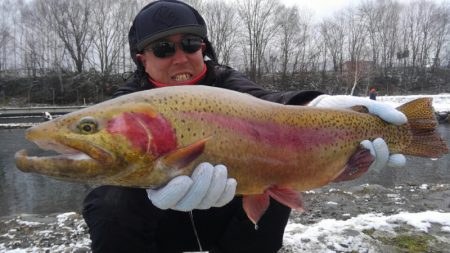 つりぼりあかし 釣果