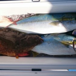 海龍丸（石川） 釣果