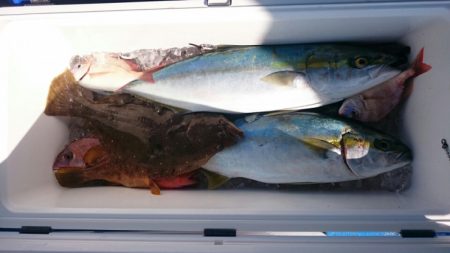 海龍丸（石川） 釣果