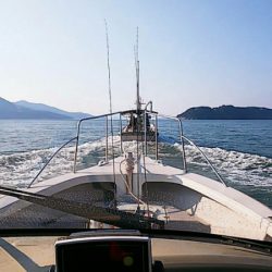 タイラバ遊漁船 ワンピース 釣果