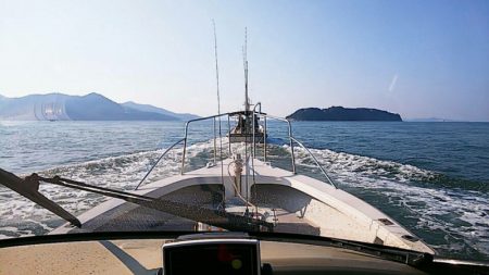 タイラバ遊漁船 ワンピース 釣果