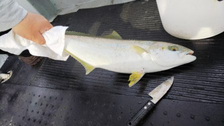 第二龍勢丸 釣果