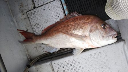 第二龍勢丸 釣果