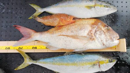 第二龍勢丸 釣果