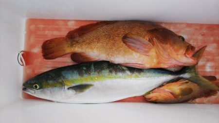 第二龍勢丸 釣果