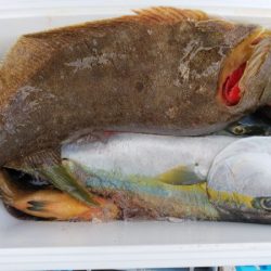 第二龍勢丸 釣果