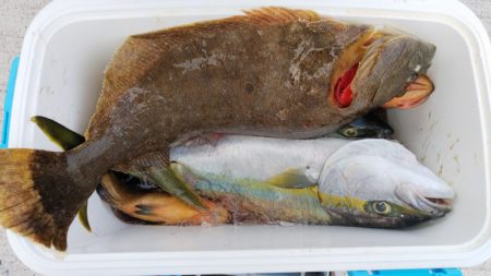 第二龍勢丸 釣果